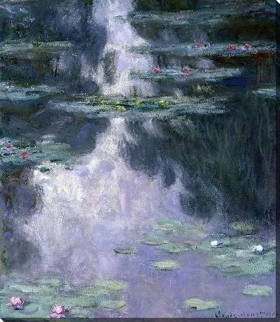 Водяные лилии (Нимфеи)