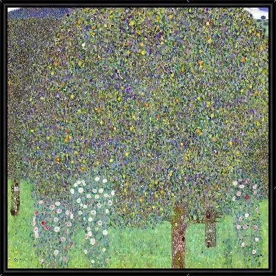 Кусты роз под деревьями