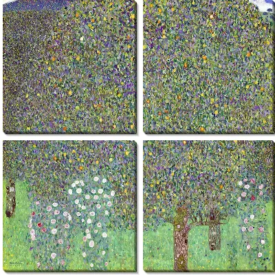 Кусты роз под деревьями