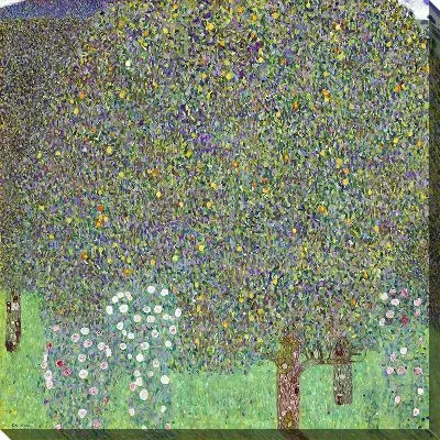 Кусты роз под деревьями