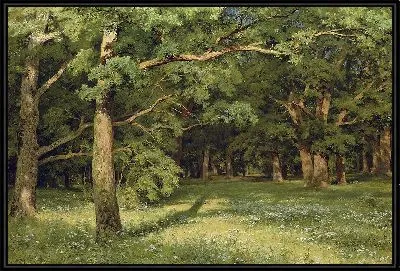 Дубовая роща