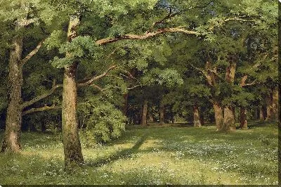 Дубовая роща