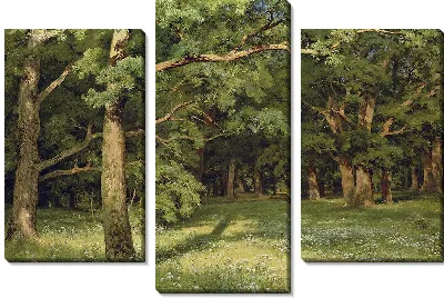 Дубовая роща