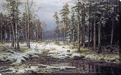 Зимний лес №7