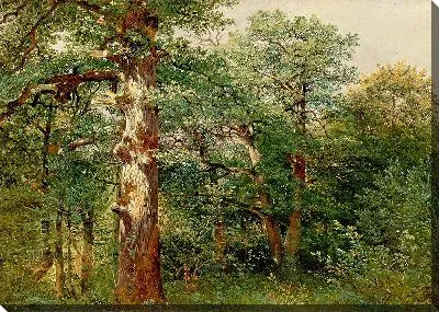 Дубовая роща