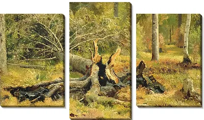 Картина Упавшее дерево