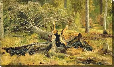 Картина Упавшее дерево