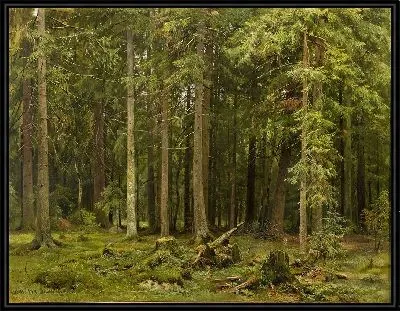 Картина Лес в Мордвиново