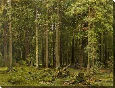 Картина Лес в Мордвиново