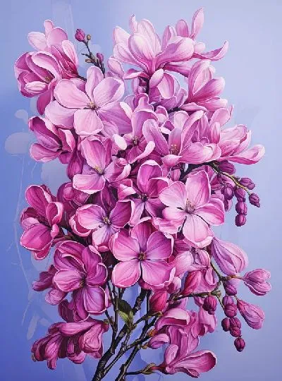 Плакат Распустившаяся сирень