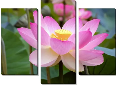 Модульная картина Лилия (Lily) №2