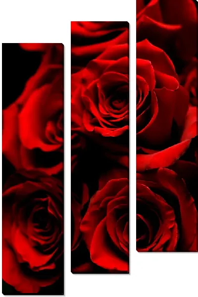 Модульная картина Насыщенные розы