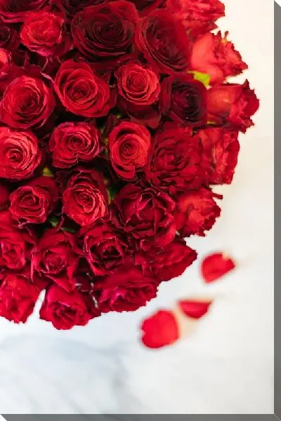 Постер Букет красных роз и лепестки