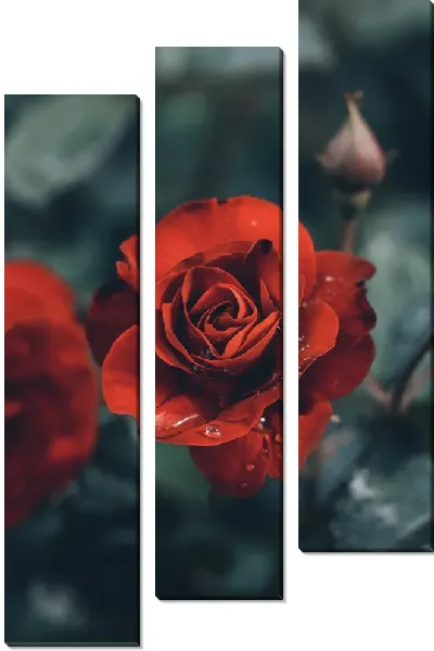 Модульная картина Винтажная роза