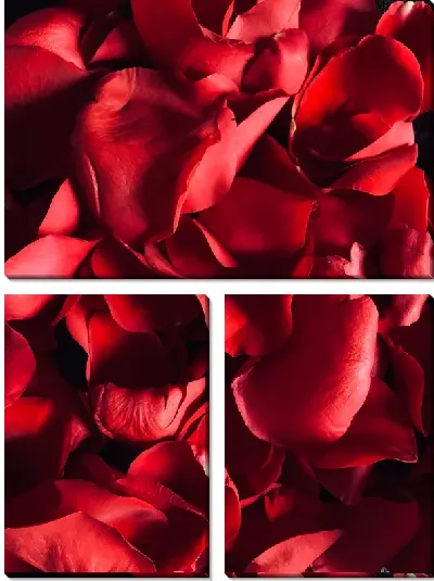 Модульная картина Лепестки роз №2