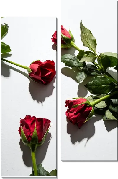 Модульная картина Розы №57