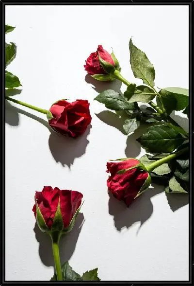 Картина Розы №57