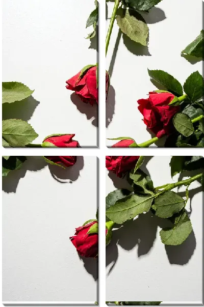 Модульная картина Розы №58