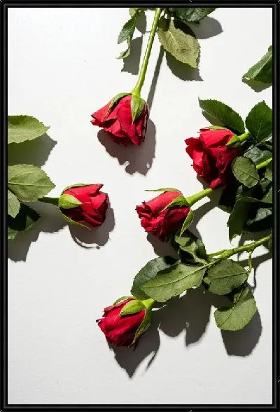 Картина Розы №58