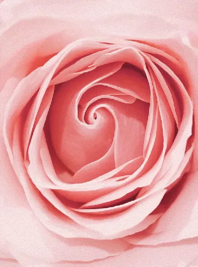 шаблон id 34