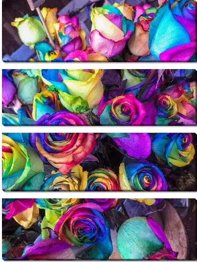 Модульная картина Цветные розы №5