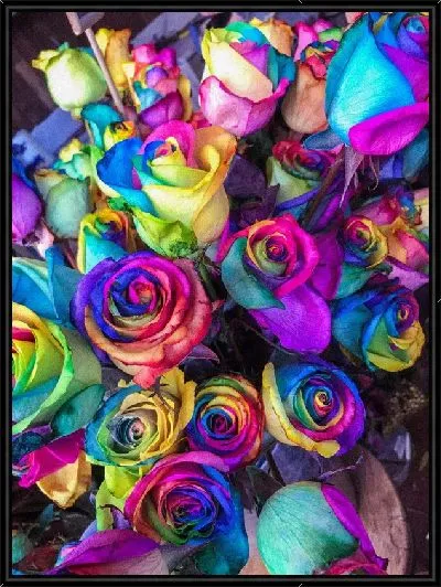 Картина Цветные розы №5