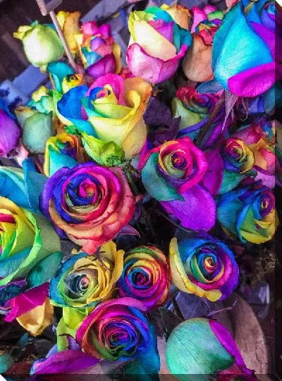 Постер Цветные розы №5