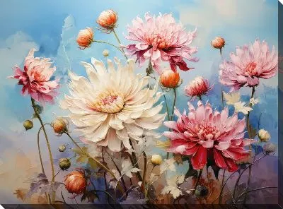 Полевые астры