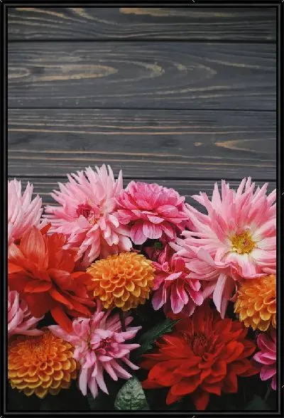 Картина Разноцветные астры на фоне досок
