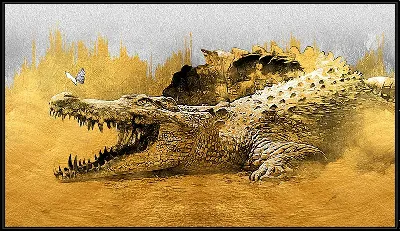 картина