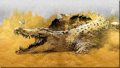 картина