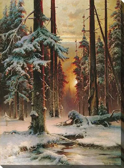 Картина Зимний закат в еловом лесу