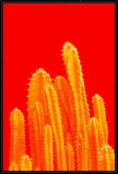 Картина Кактус №33