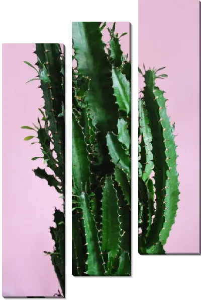 Модульная картина Кактус №36