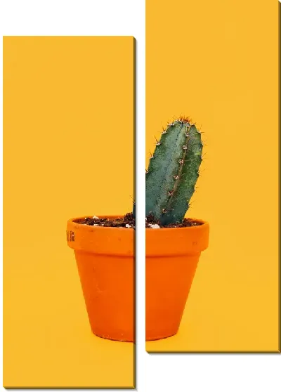 Модульная картина Кактус №43
