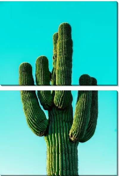 Модульная картина Кактус №64