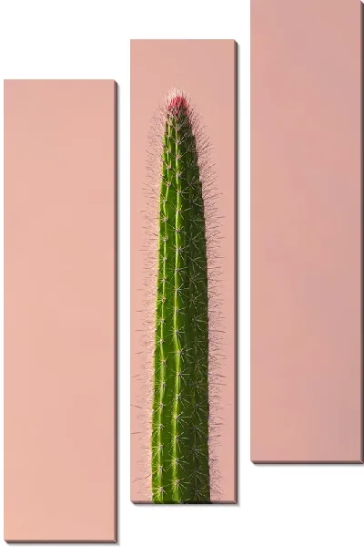 Модульная картина Кактус №68