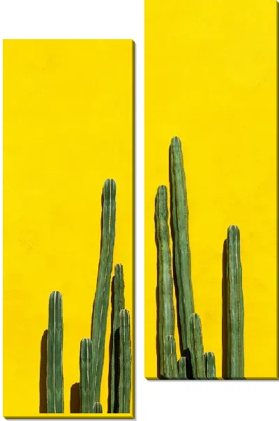 Модульная картина Кактус №70