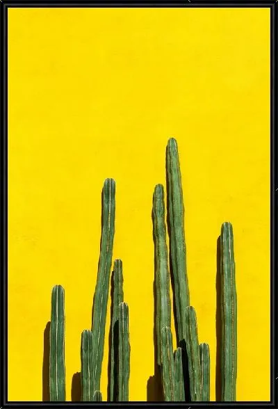 Картина Кактус №70