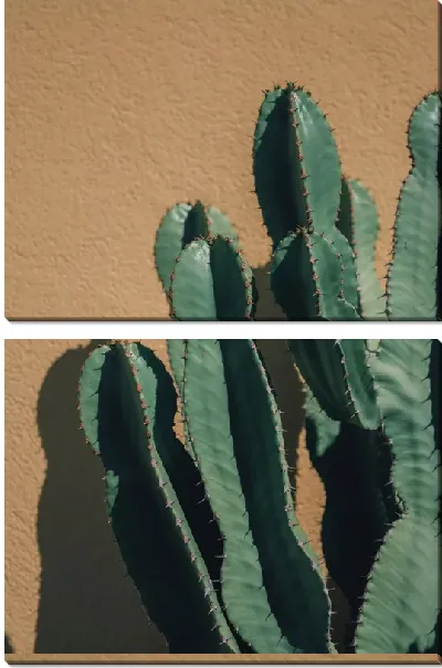 Модульная картина Кактус №72