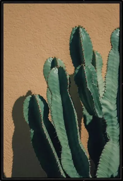 Картина Кактус №72
