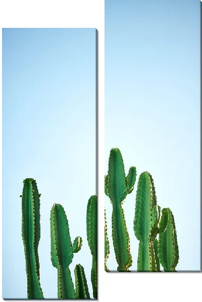 Модульная картина Кактус №73