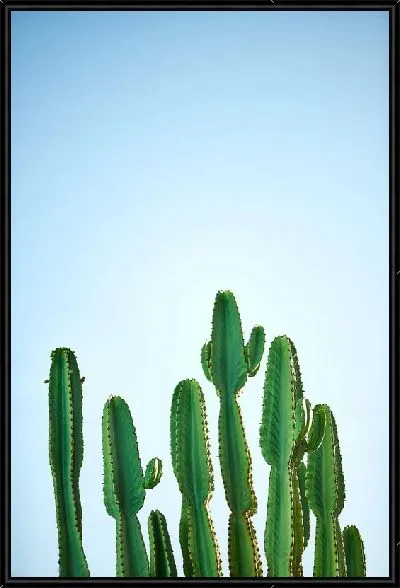 Картина Кактус №73