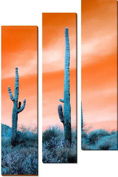 Модульная картина Кактус №76