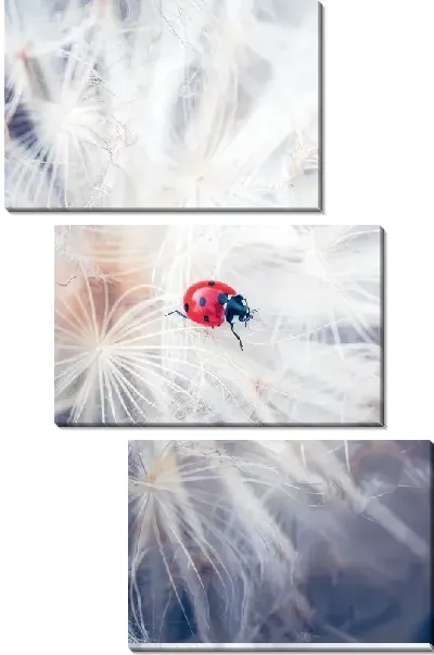Модульная картина Божья коровка на одуванчике