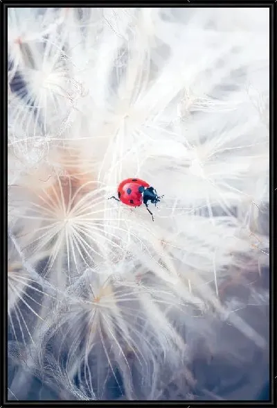 Картина Божья коровка на одуванчике