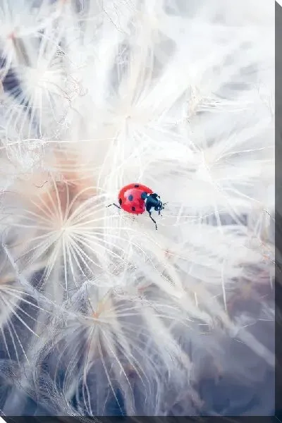 Картина маслом Божья коровка на одуванчике