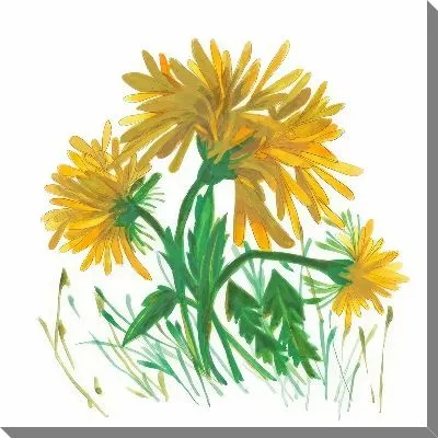 Картина маслом Желтые одуванчики