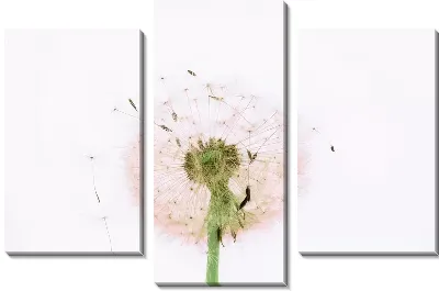 Модульная картина Пушистый одуванчик