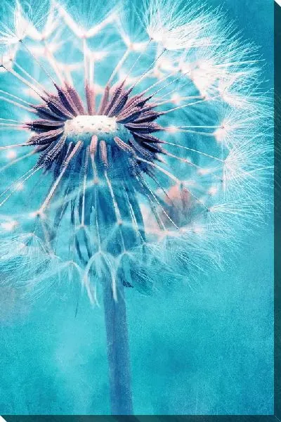 Картина маслом Одуванчик на лазурном фоне